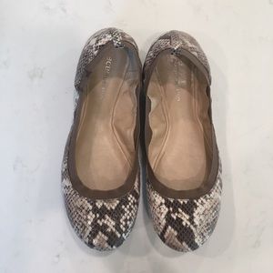 BCBGeneration snakeskin ballet flats